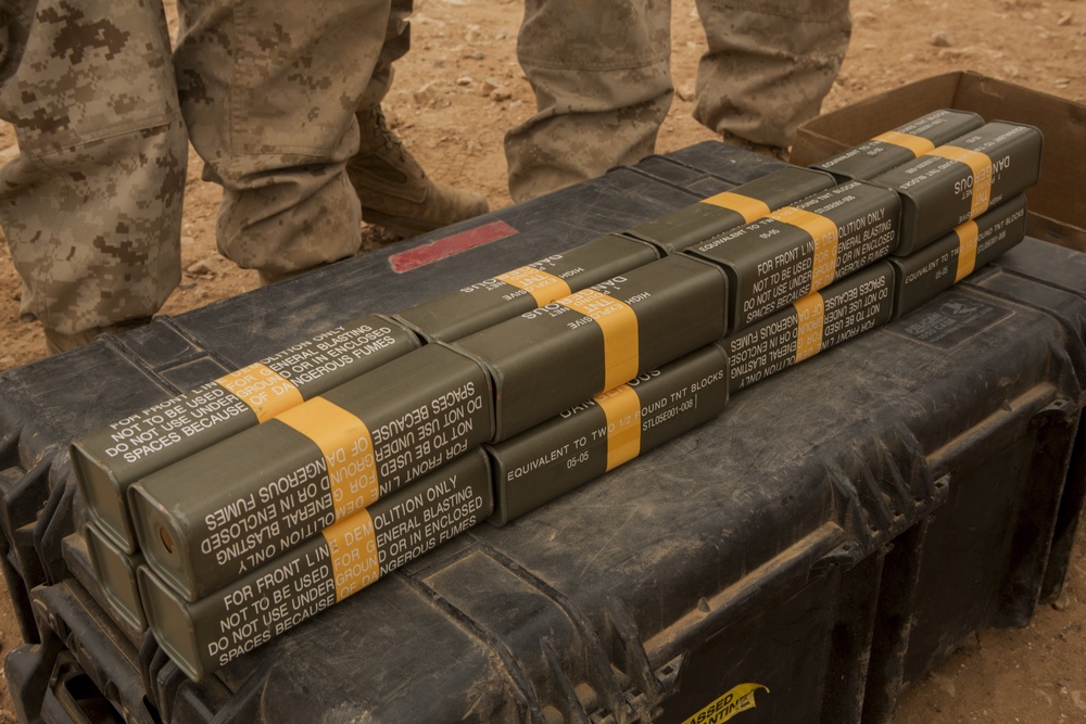 Exercise African Lion 15, Partnership explosive training