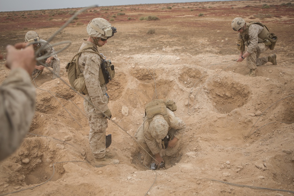 Exercise African Lion 15, Partnership explosive training