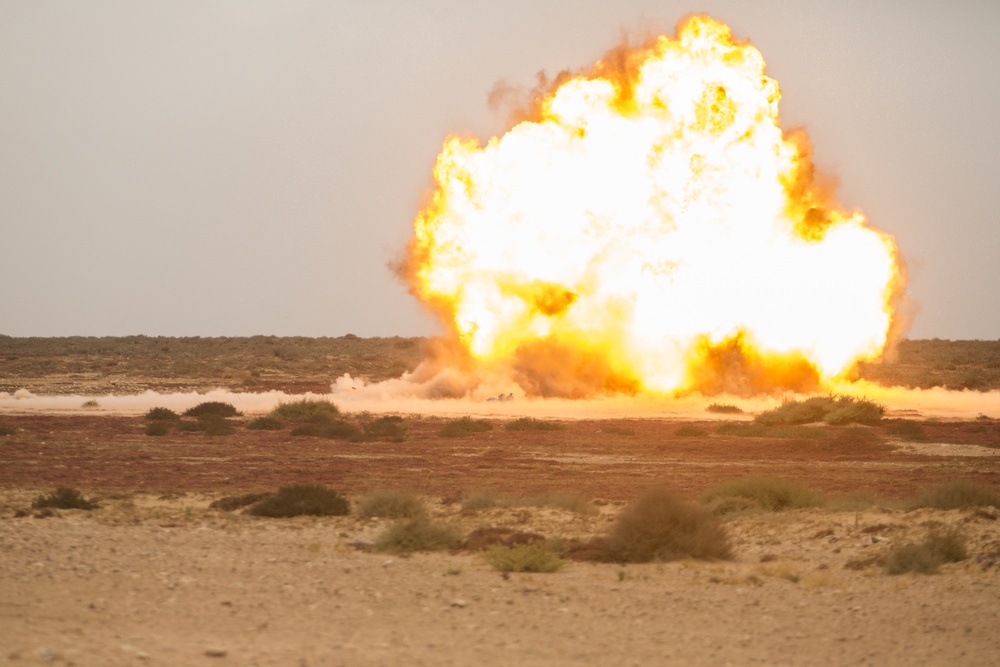 Exercise African Lion 15, Partnership explosive training