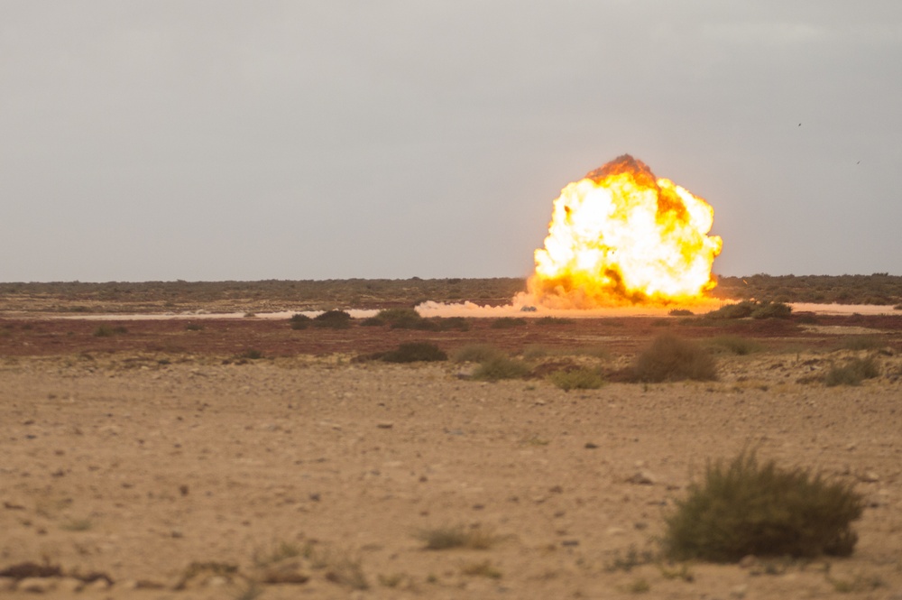 Exercise African Lion 15, Partnership explosive training