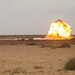 Exercise African Lion 15, Partnership explosive training