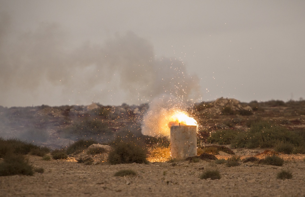 Exercise African Lion 15, Partnership explosive training