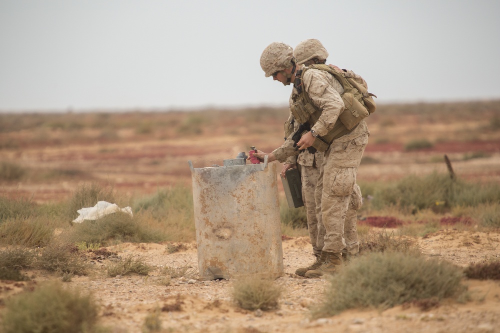 Exercise African Lion 15, Partnership explosive training