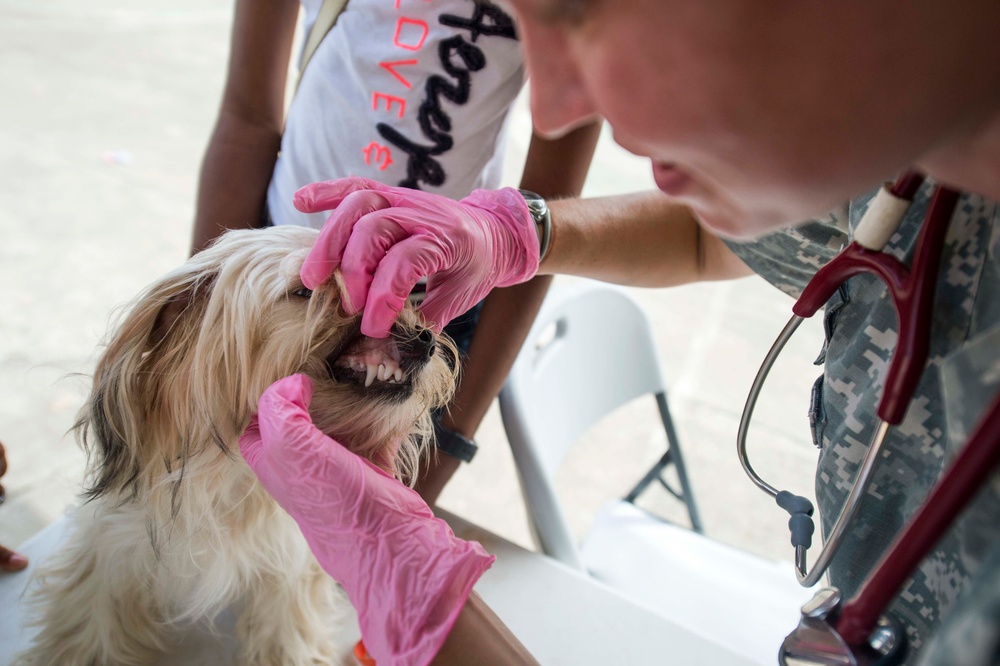 Continuing Promise 2015