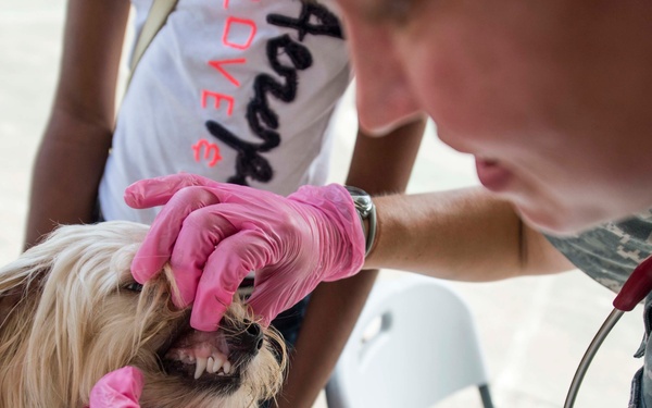 Continuing Promise 2015