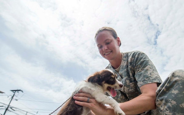 Continuing Promise 2015