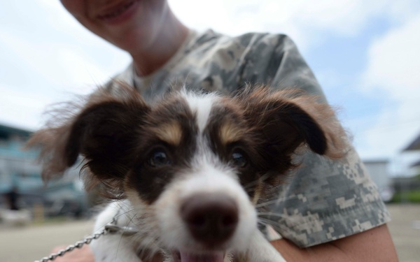 Continuing Promise 2015