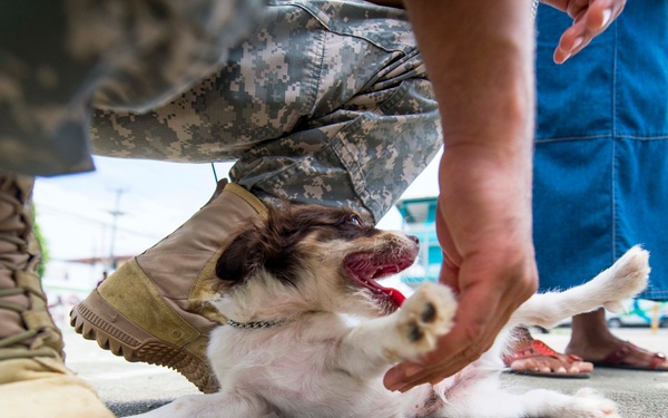 Continuing Promise 2015