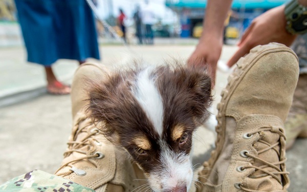 Continuing Promise 2015