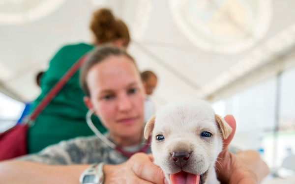 Continuing Promise 2015