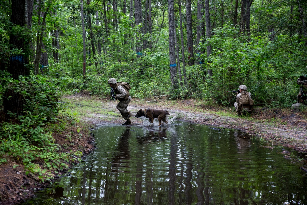 26th MEU participates in Tactical Recovery of Aircraft and Personnel course