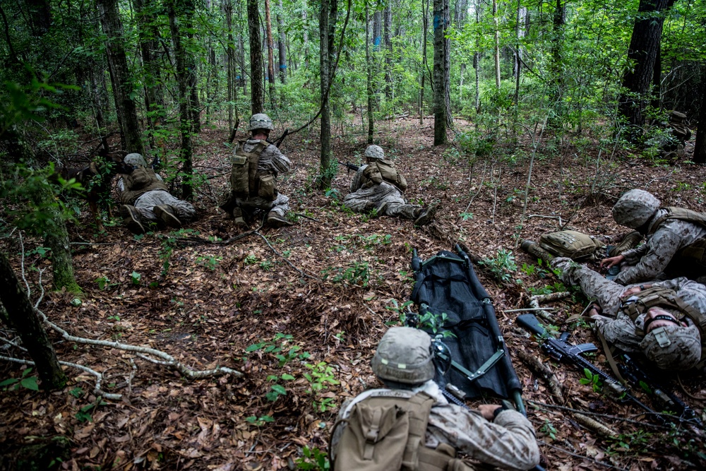 26th MEU participates in Tactical Recovery of Aircraft and Personnel course