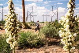 Desert Warrior, Army's newest school