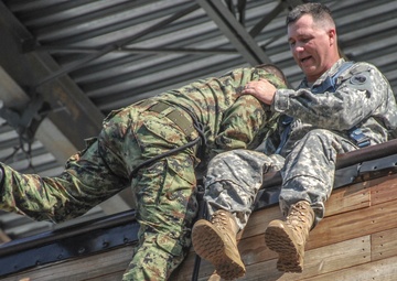 Familiar faces carry the load for Timberwolf Division