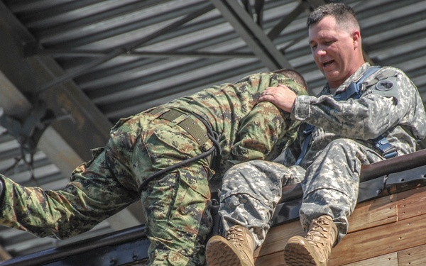 Familiar faces carry the load for Timberwolf Division