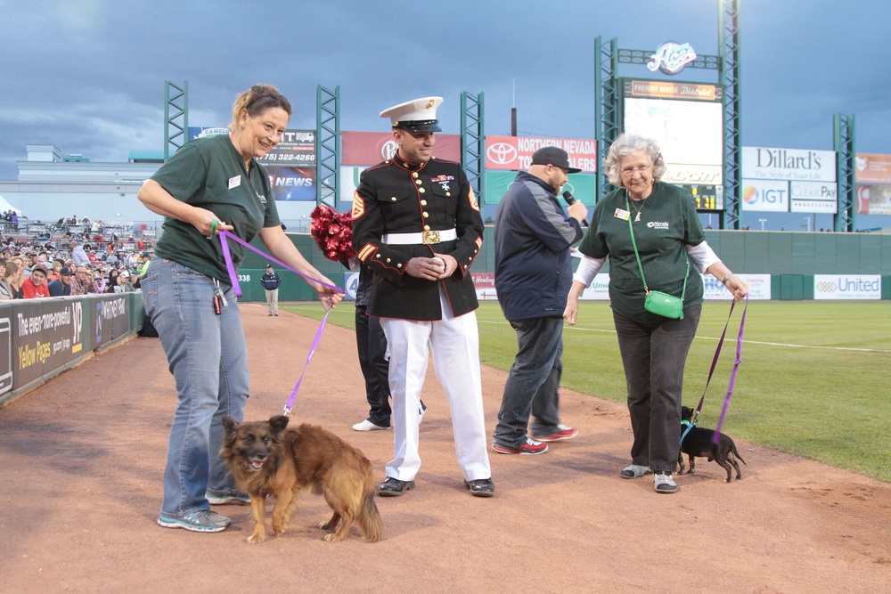 Reno Marine adopts dog at Reno Aces Ballpark