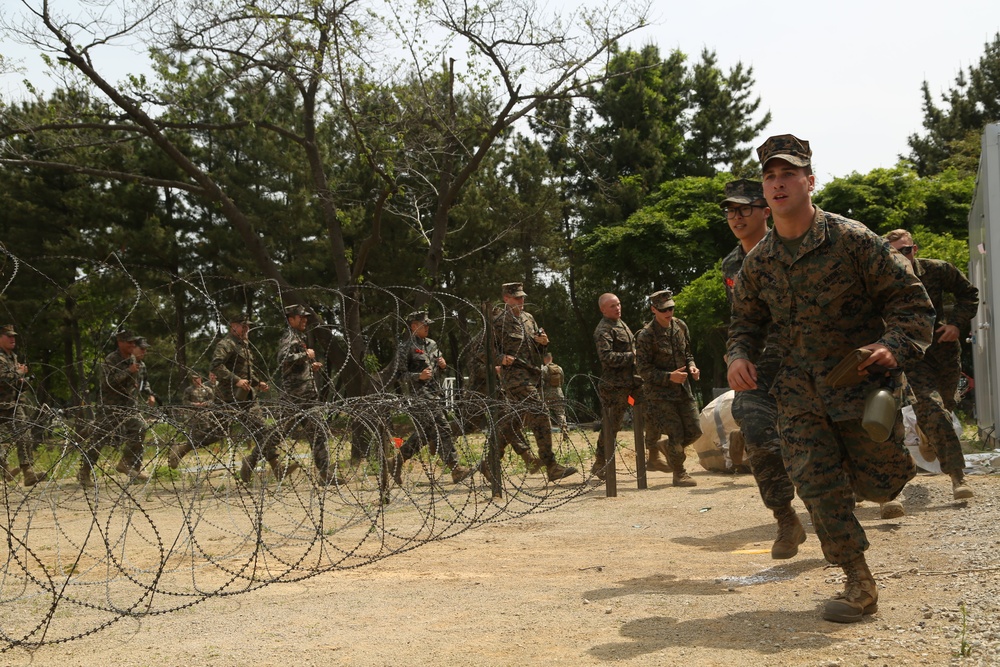 U.S. and ROK Marines Cross Train in Law Enforcement