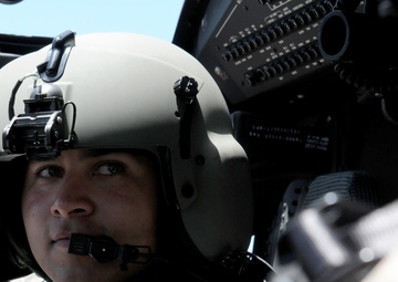 Company C, 207th Aviation Regiment conducts air assault exercise