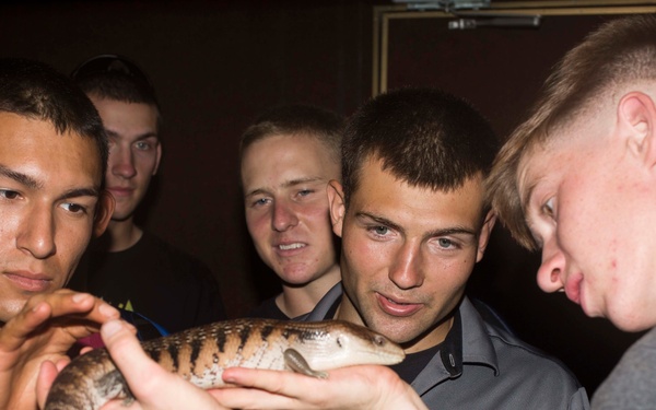 U.S. Marines help to preserve Australian wildlife