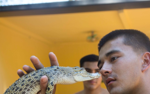 U.S. Marines help to preserve Australian wildlife