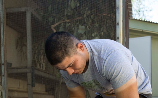 U.S. Marines help to preserve Australian wildlife
