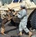 8th MP’s MWD teams earn certification, enhance readiness