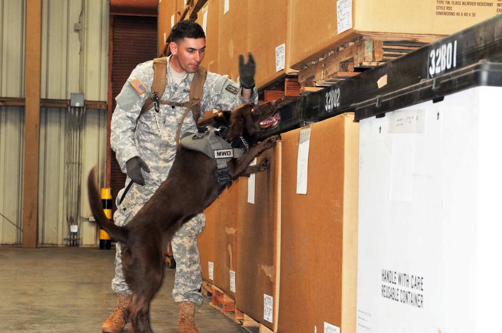 8th MP’s MWD teams earn certification, enhance readiness
