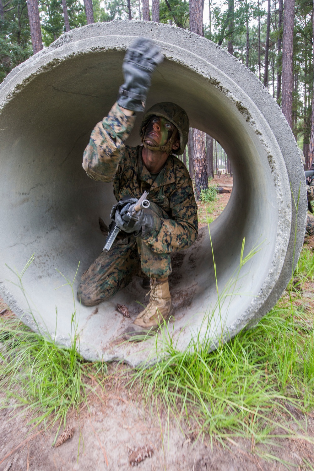 Marine recruits learn basic combat skills on Parris Island Marine recruits learn basic combat skills on Parris Island