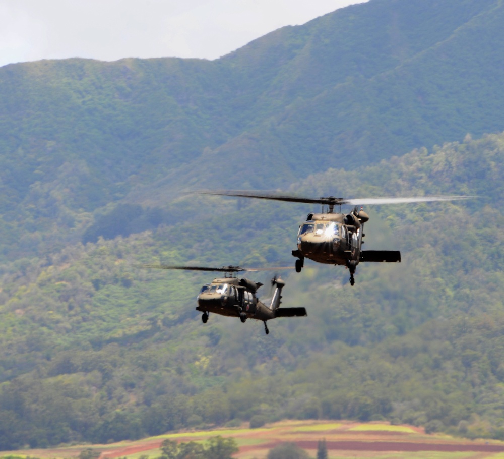 Company C, 207th Aviation Regiment conducts air assault exercise