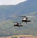 Company C, 207th Aviation Regiment conducts air assault exercise