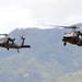 Company C, 207th Aviation Regiment conducts air assault exercise