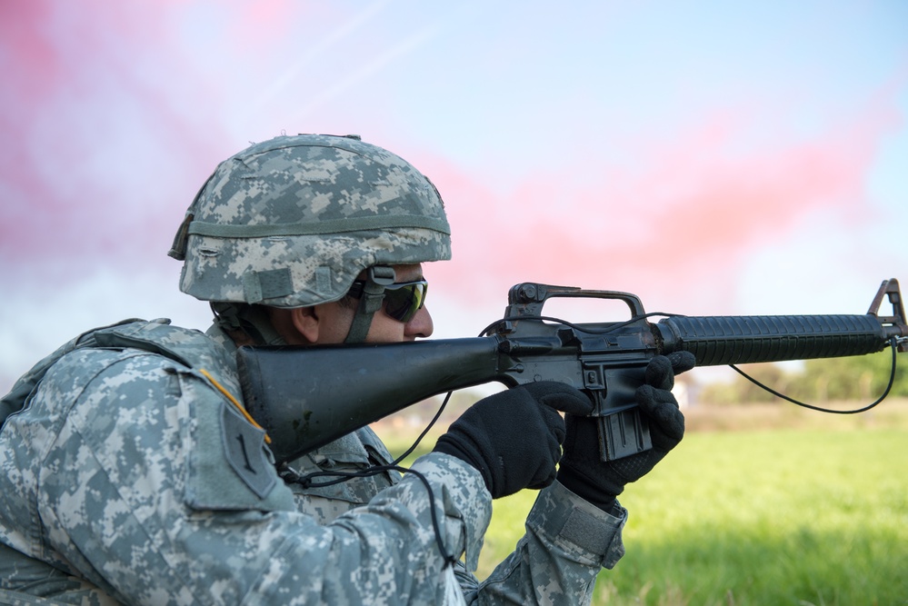 AFNORTH Bn Standard Training Exercise