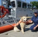 Coast Guard Station New York’s unit dog mascot, Harry