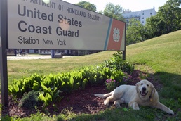 Coast Guard Station New York’s unit dog mascot, Harry