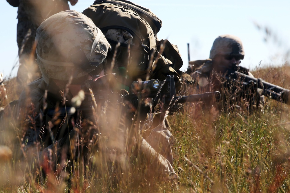 Marines lay low in the weeds during BALTOPS 2015