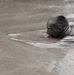 Commanding General's Cup Mud Run