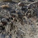 3/25th Lima Company Marines participate in a live fire platoon attack exercise.