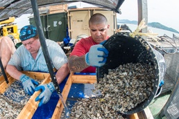 POW/MIA recovery team members search for evidence