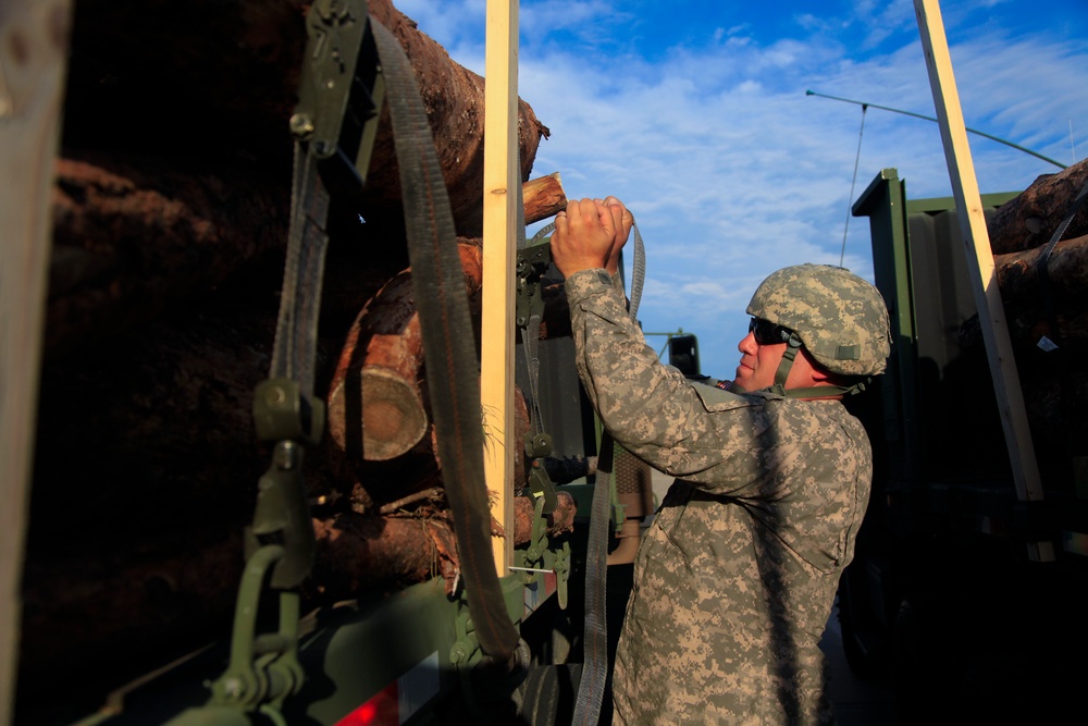 Golden Coyote Exercise 2015