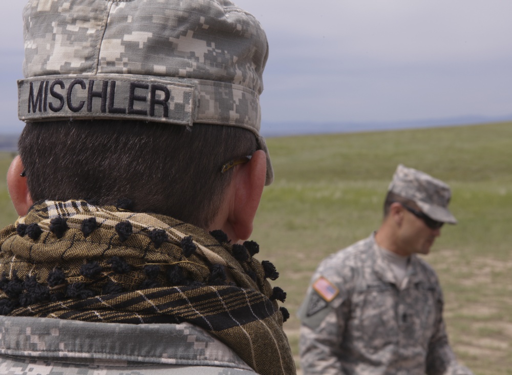 Golden Coyote Golden Coyote