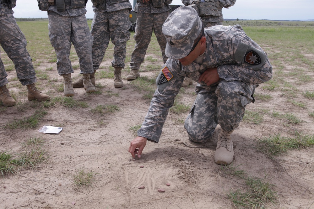 Golden Coyote Golden Coyote