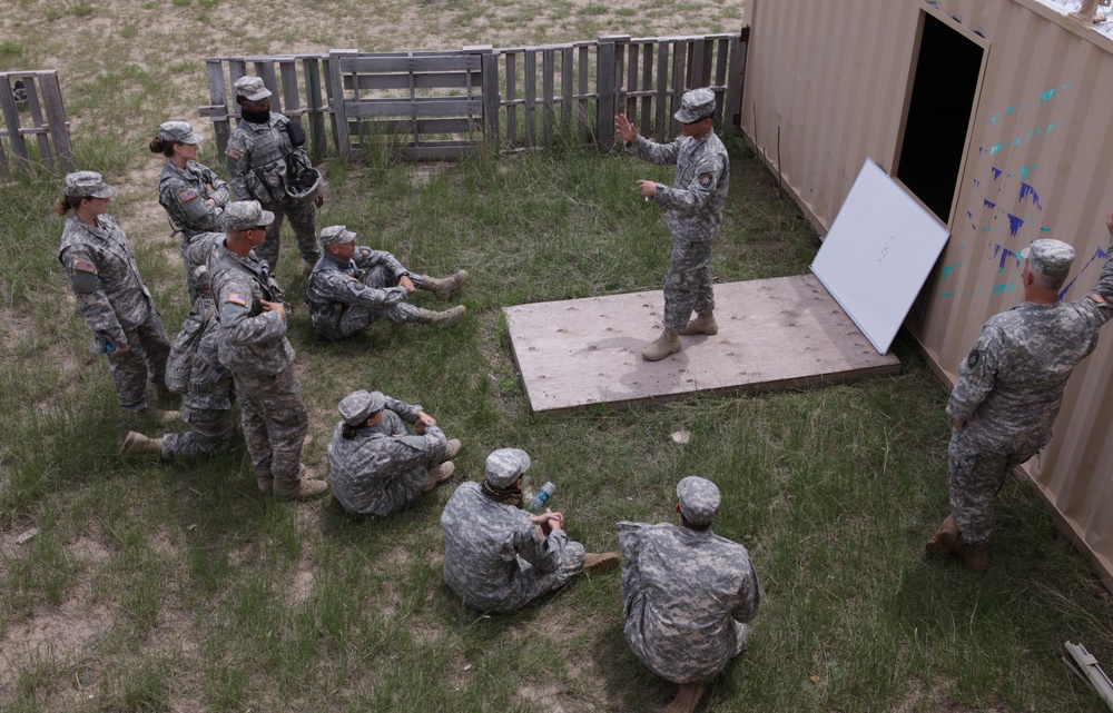 Golden Coyote Golden Coyote