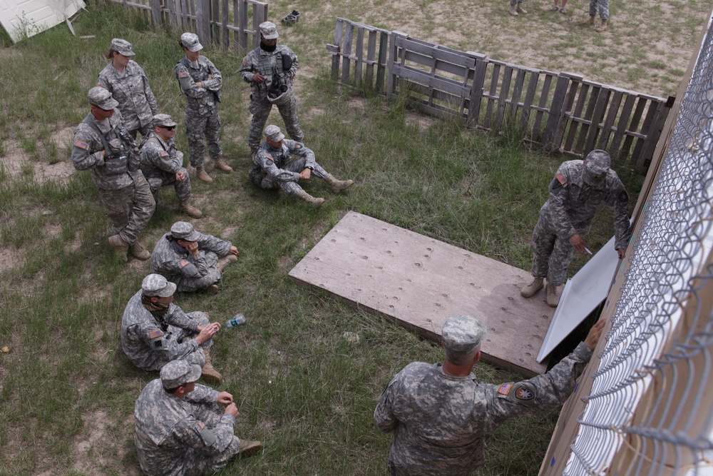 Golden Coyote Golden Coyote