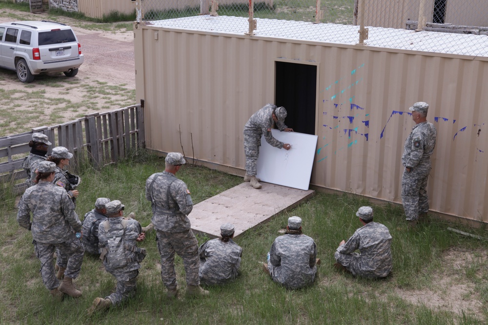 Golden Coyote Golden Coyote