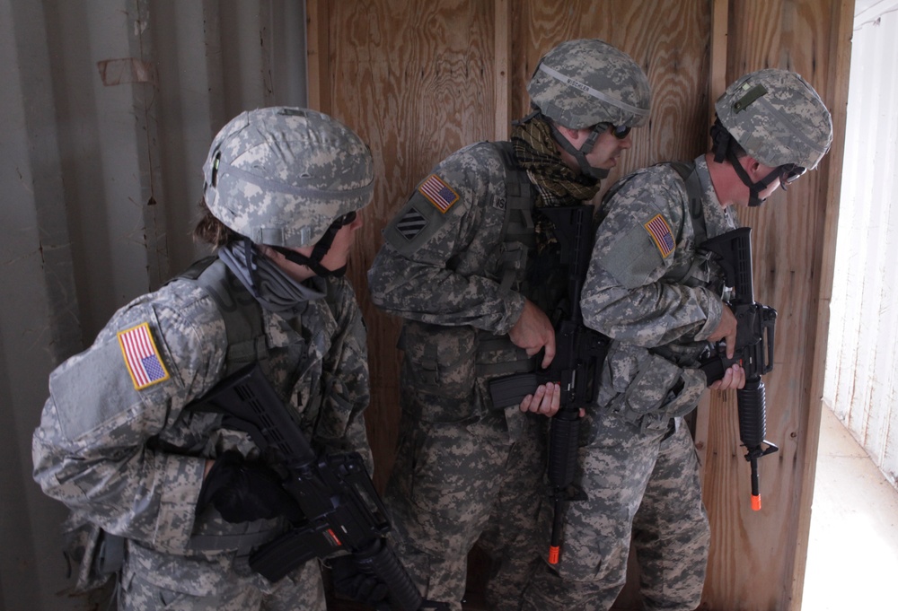 Golden Coyote Golden Coyote