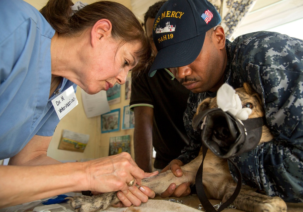 Mercy crew conducts veterinary clinic in Savusavu, Fiji