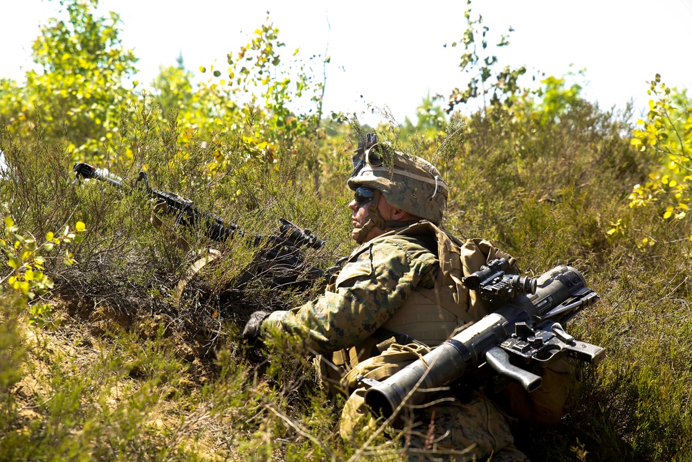 Strapped with firepower: A U.S. Marine waits in the bushes to engage enemy forces in Lithuanian Pabrade Training Area