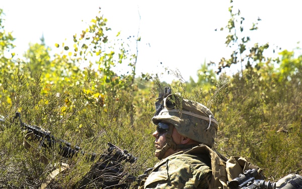 Strapped with firepower: A U.S. Marine waits in the bushes to engage enemy forces in Lithuanian Pabrade Training Area