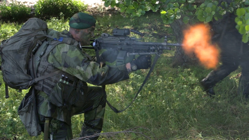 International Amphibious Assault in Ravlunda, Sweden, during BALTOPS 2015