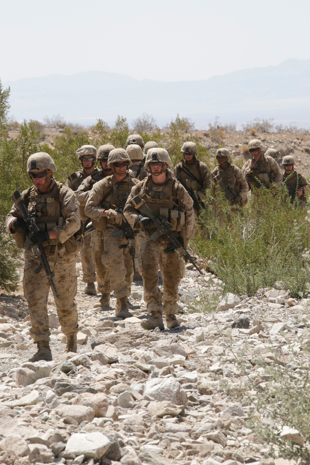 Marines move and shoot down range in cooperative exercise